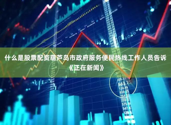 什么是股票配资葫芦岛市政府服务便民热线工作人员告诉《正在新闻》