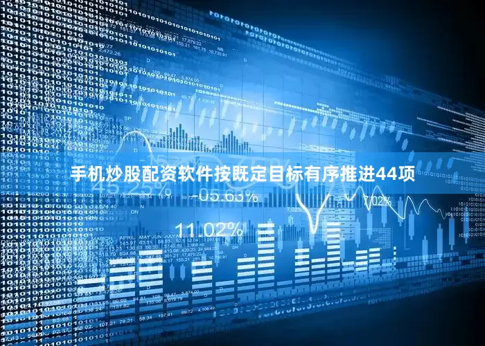 手机炒股配资软件按既定目标有序推进44项